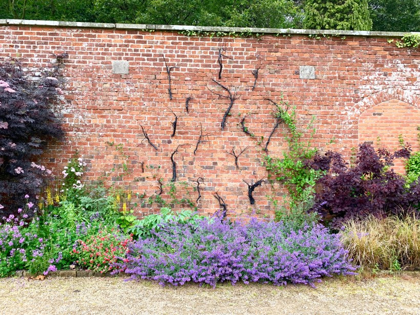 Photo 29-06-2019, 14 55 29